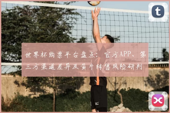 世界杯购票平台盘点:官方APP、第三方渠道差异及黄牛转售风险研判